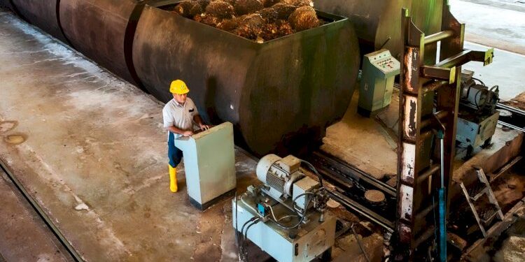 Kemendag Tetapkan Harga CPO September Meningkat