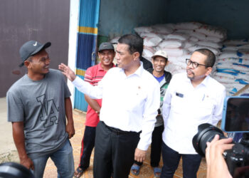 Kementan Sebut Harga Pupuk Turun 20 Persen