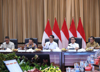 Pemerintah Terus Operasi Pasar Stabilkan Harga Beras