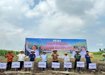 Pemerintah Targetkan Swasembada Gula Kristal Putih 2026