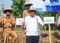 Kementan Alokasikan Pengembangan Tebu Nasional Ratusan Ribu Ha