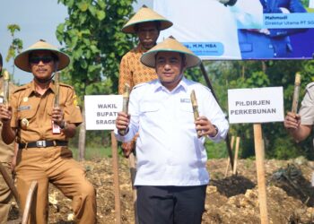 Kementan Alokasikan Pengembangan Tebu Nasional Ratusan Ribu Ha