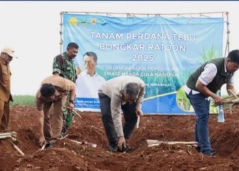 Kementan Lakukan Percepatan Pengembangan Tebu di Jawa Barat