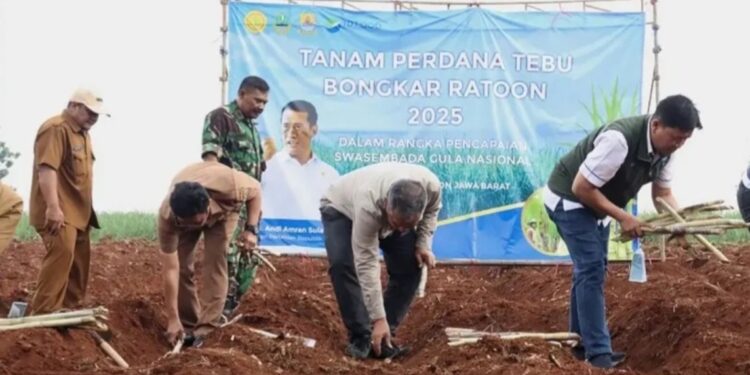 Kementan Lakukan Percepatan Pengembangan Tebu di Jawa Barat