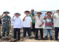 Kementan Juga Bongkar Ratoon Tebu di Jawa Tengah