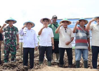 Kementan Juga Bongkar Ratoon Tebu di Jawa Tengah