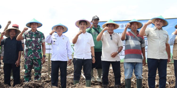 Kementan Juga Bongkar Ratoon Tebu di Jawa Tengah
