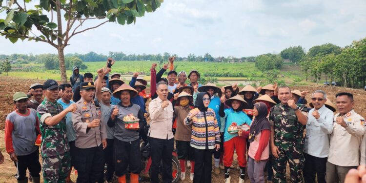 Kementan Alokasikan Pengembangan Kawasan Tebu Seluas 100 Ribu Ha