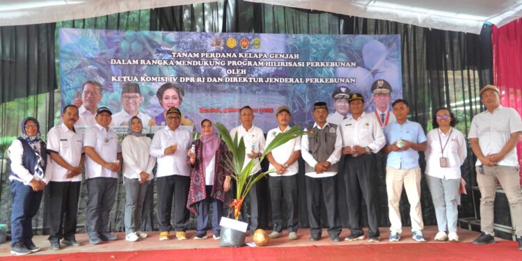 Kementan Tanam Perdana Kelapa Genjah di Bantul