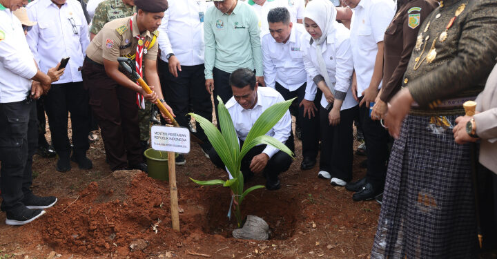 Mentan Luncurkan Gerakan Tanam Pohon Kelapa