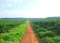 Seluruh Saham Sampoerna Agro Dijual ke POSCO International