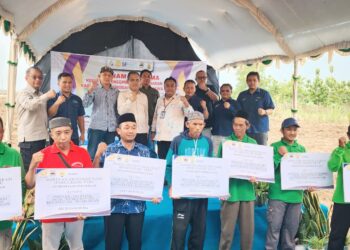 Pemerintah Terus Perkuat Hulu–Hilir Tebu