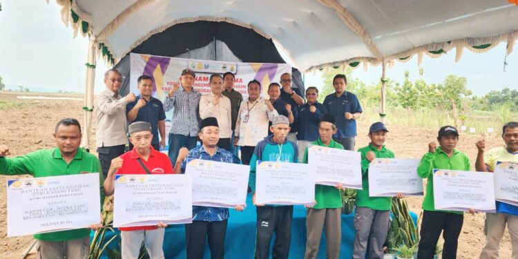 Pemerintah Terus Perkuat Hulu–Hilir Tebu