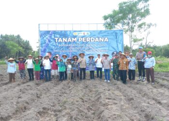 Kementan Targetkan Produktivitas Tebu dan Kemitraan Petani Meningkat
