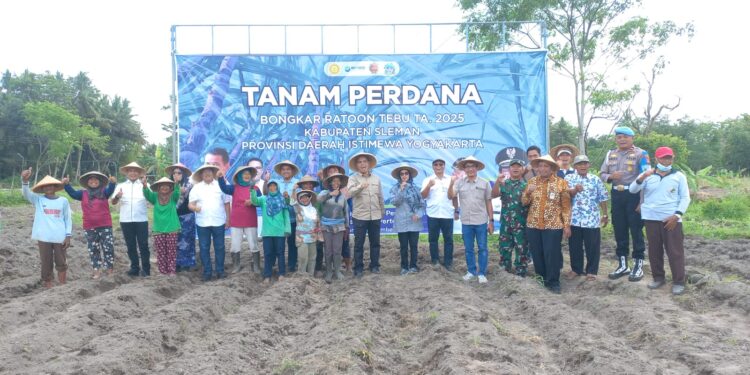 Kementan Targetkan Produktivitas Tebu dan Kemitraan Petani Meningkat