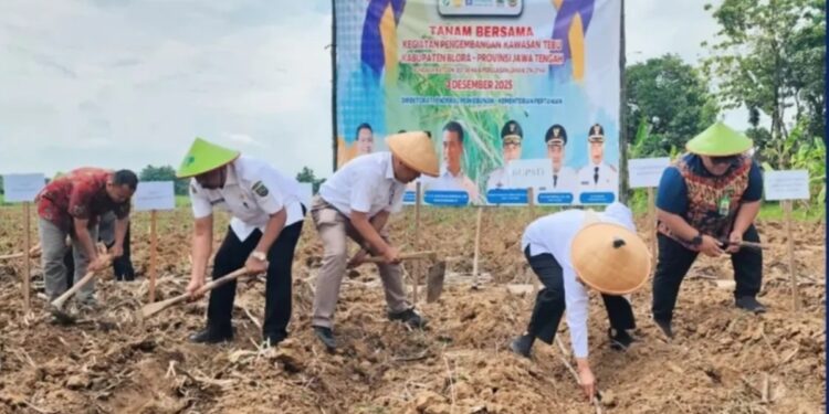Akselerasi Tanam Tebu 2025 di Blora untuk Wujudkan Swasembada Gula