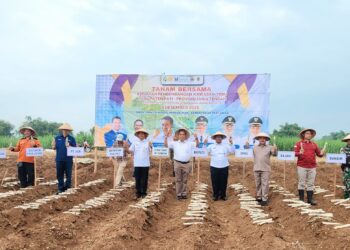 Pengembangan Tebu di Pati Dipercepat untuk Perkuat Swasembada Gula