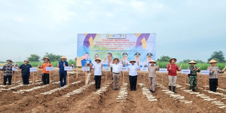 Pengembangan Tebu di Pati Dipercepat untuk Perkuat Swasembada Gula