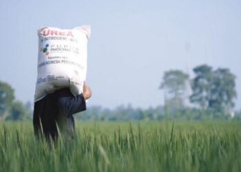Pemerintah Pastikan Pupuk Subsidi 2026 Sudah Bisa Ditebus Mulai 1 Januari