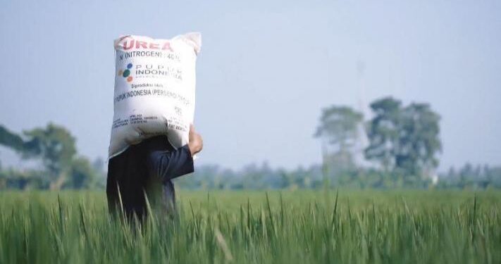 Pemerintah Pastikan Pupuk Subsidi 2026 Sudah Bisa Ditebus Mulai 1 Januari