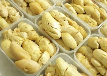Durian Beku Indonesia Tembus Pasar Tiongkok