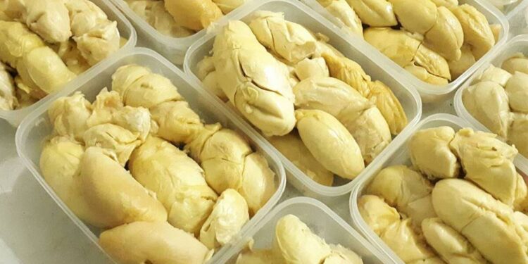Durian Beku Indonesia Tembus Pasar Tiongkok