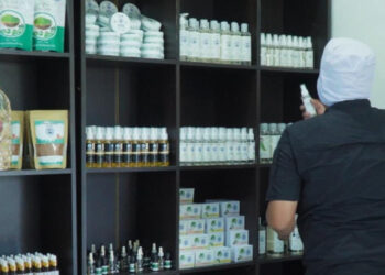 Pemerintah Siapkan Kebangkitan Komoditas Kelapa