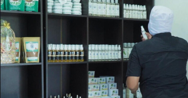 Pemerintah Siapkan Kebangkitan Komoditas Kelapa