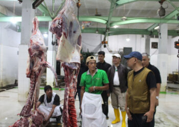 Kementan Pastikan Pasokan dan Harga Daging, Ayam, serta Telur Stabil