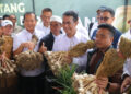 Kementan Targetkan Stop Impor Bawang Putih Lima Tahun Lagi