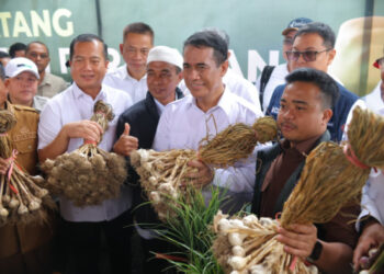 Kementan Targetkan Stop Impor Bawang Putih Lima Tahun Lagi