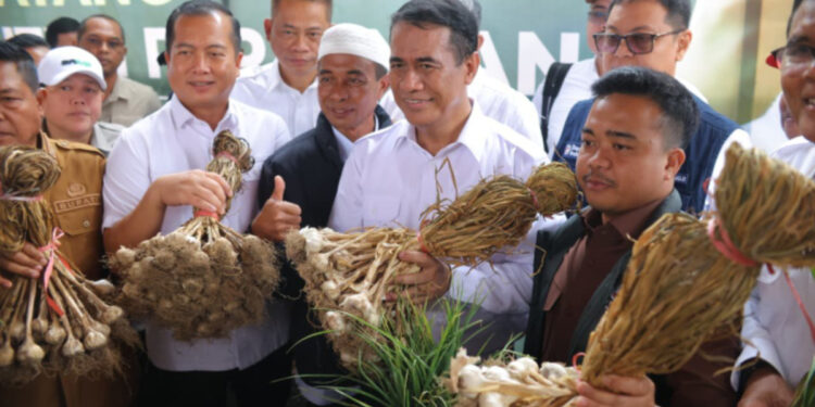 Kementan Targetkan Stop Impor Bawang Putih Lima Tahun Lagi