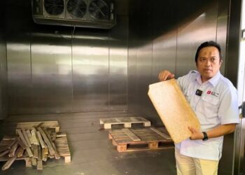 Peneliti Pusat Riset Biomassa dan Bioproduk, Organisasi Riset Nanoteknologi dan Material (ORNM) BRIN, Prof. Sukma Surya Kusumah (dok BRIN)