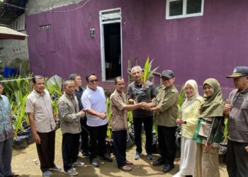 Kementan Terus Percepat Pengembangan Komoditas Kelapa