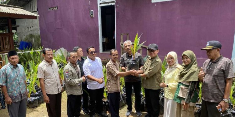 Kementan Terus Percepat Pengembangan Komoditas Kelapa