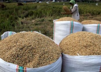 Pemerintah Pastikan HPP Gabah Petani Tidak Berubah