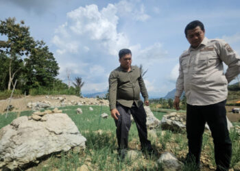 Kementan Gencarkan Pengembangan Hortikultura Lahan Kering