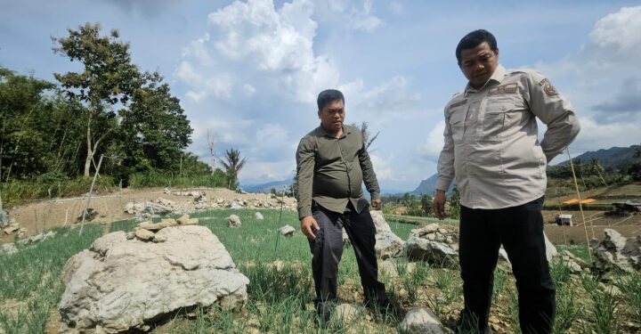 Kementan Gencarkan Pengembangan Hortikultura Lahan Kering