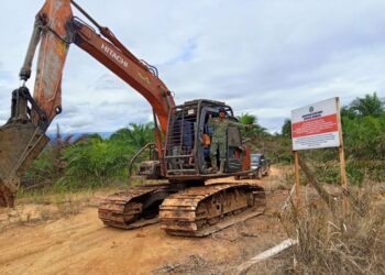 Gakkum Kehutanan Sita Kebun Sawit 30 Hektare Ilegal