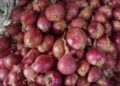 BRIN Temukan Potensi Peningkatan Produktivitas Bawang Merah melalui Metabolomik