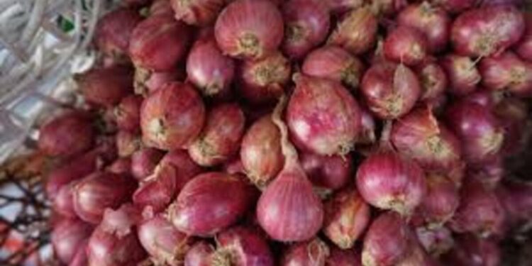 BRIN Temukan Potensi Peningkatan Produktivitas Bawang Merah melalui Metabolomik