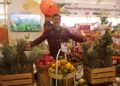 Kemenperin Terus Perkuat Hilirisasi Industri Buah Tropis untuk IKM