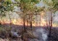 Mentan Tegaskan Pencegahan Kebakaran Lahan Harus Prioritas
