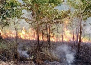 Mentan Tegaskan Pencegahan Kebakaran Lahan Harus Prioritas