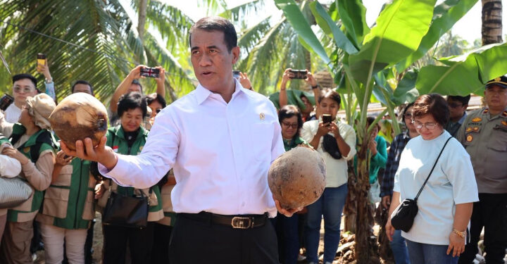 Mentan Temukan Ketidaksesuaian Pelaksanaan Pembibitan Kelapa