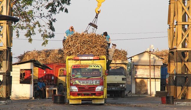 Bapanas Kolaborasikan Stabilisasi Harga Gula Konsumsi