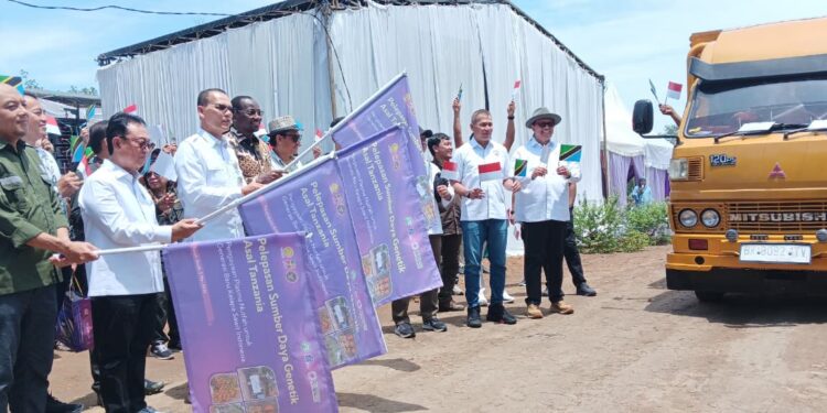 Pelepasan SDG Kelapa Sawit Asal Tanzania Perkuat Inovasi Perkebunan Nasional