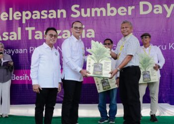 Kementan Sebut Pengayaan Plasma Nutfah Sawit Perkuat Daya Saing