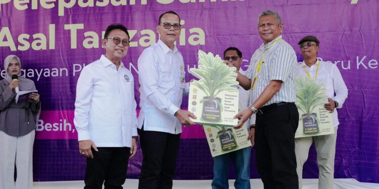 Kementan Sebut Pengayaan Plasma Nutfah Sawit Perkuat Daya Saing