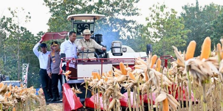 Presiden Prabowo Tegaskan Ketahanan Pangan Fondasi Utama Keberlangsungan Negara